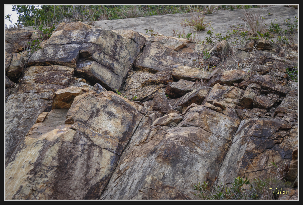 00287.jpg - 20170107 香港健行