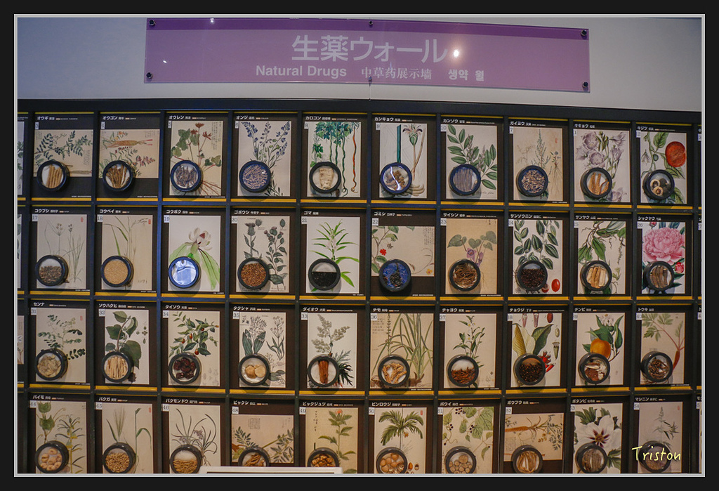 Canon-539.jpg - 20170120 大阪神戶親子遊 