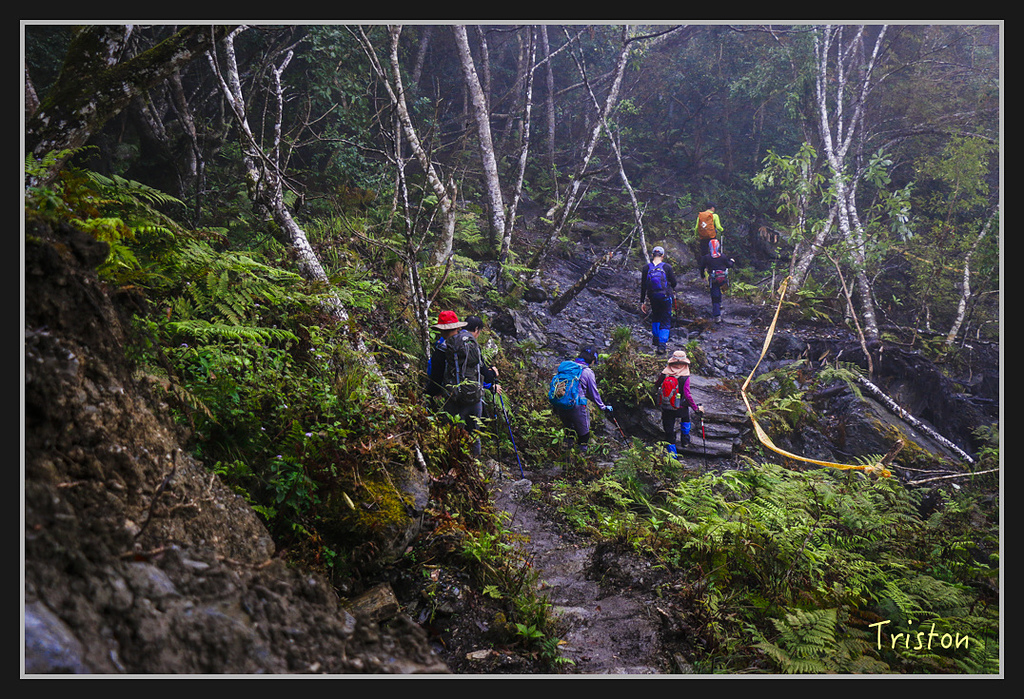 2017-02-27 10.03.53 下午 _MG_0221.jpg - 20170225 玉里瓦拉米