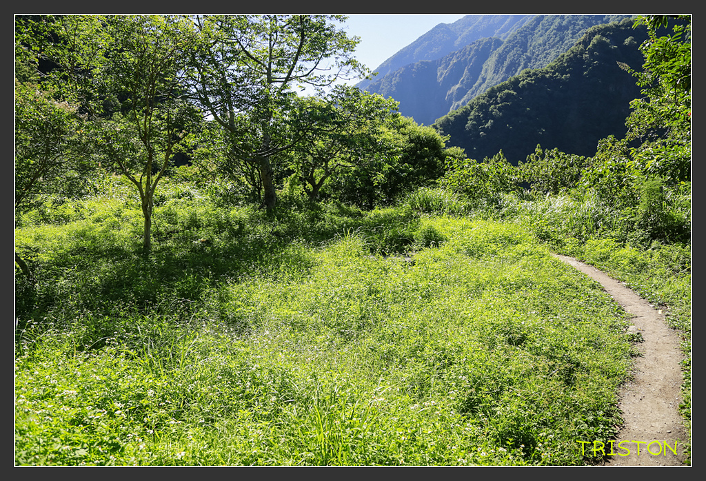 _H1A6315.jpg - 20170901 戀戀台九線