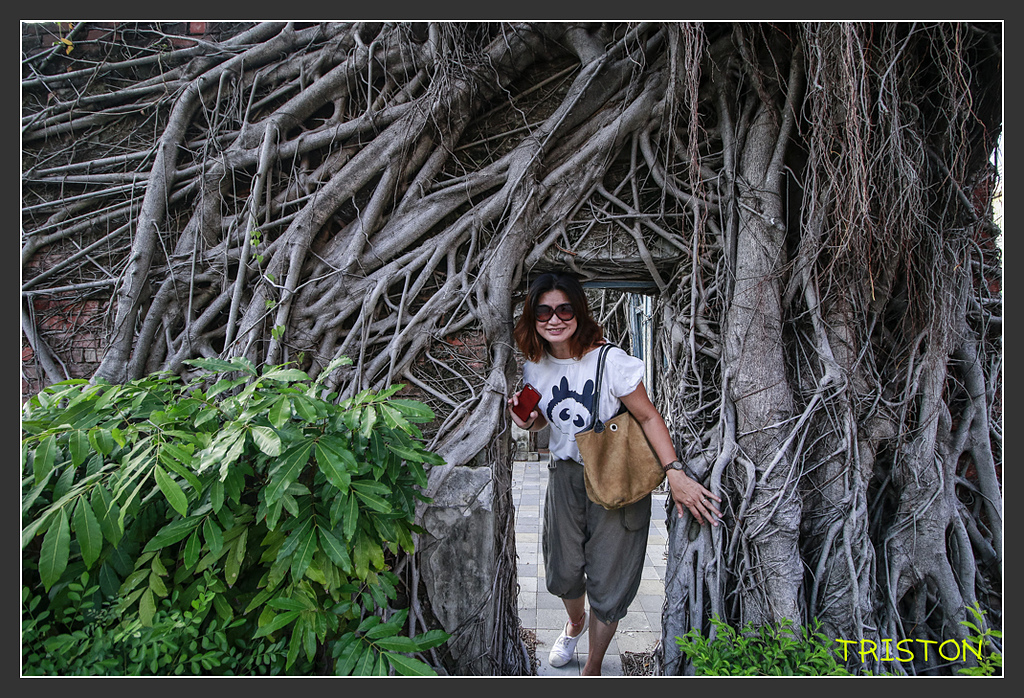 _MG_0041.jpg - 20170917 保安車站