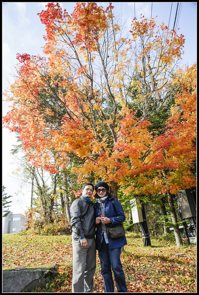 _H1A1385.jpg - 20171103 日本只見線、會津若松五色沼、昭和記念公園賞紅葉