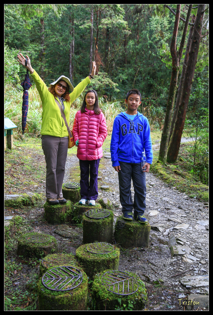 JH1A0122.jpg - 20151024~25 幾米公園、翠峰湖、翠峰山屋、望洋山步道、山毛櫸步道