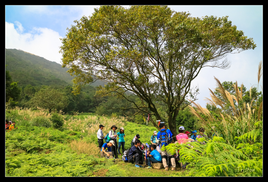 IMG_0553.jpg - 20151107 富士坪古道