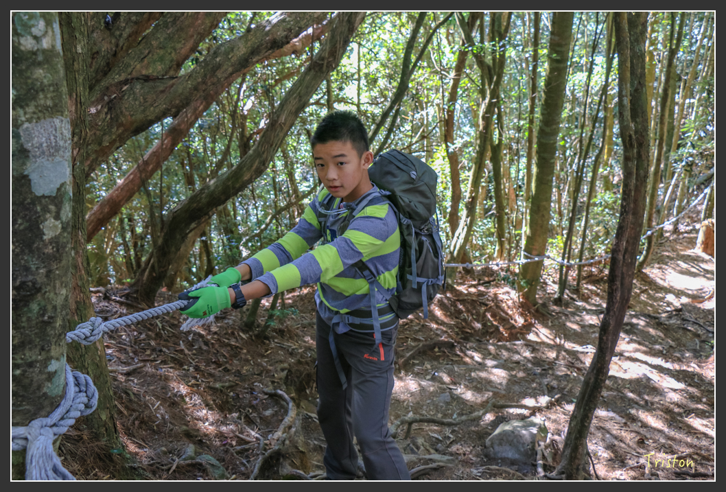 IMG_0419.jpg - 20151219 鳶嘴稍來山、小雪山林道