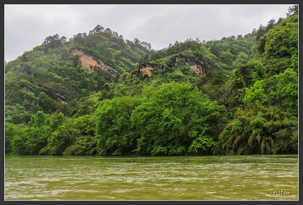 IMG_6771.jpg - 20160409 武夷山之旅