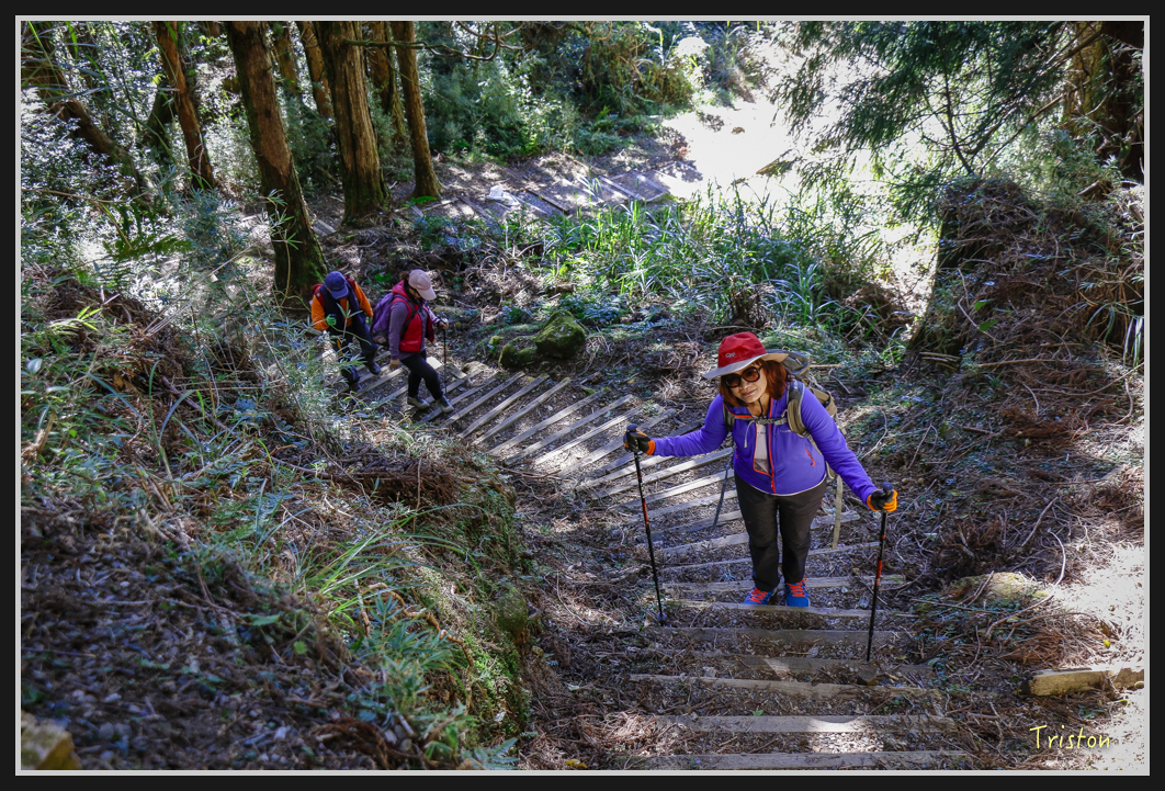 _MG_0037.jpg - 20161226 大塔山