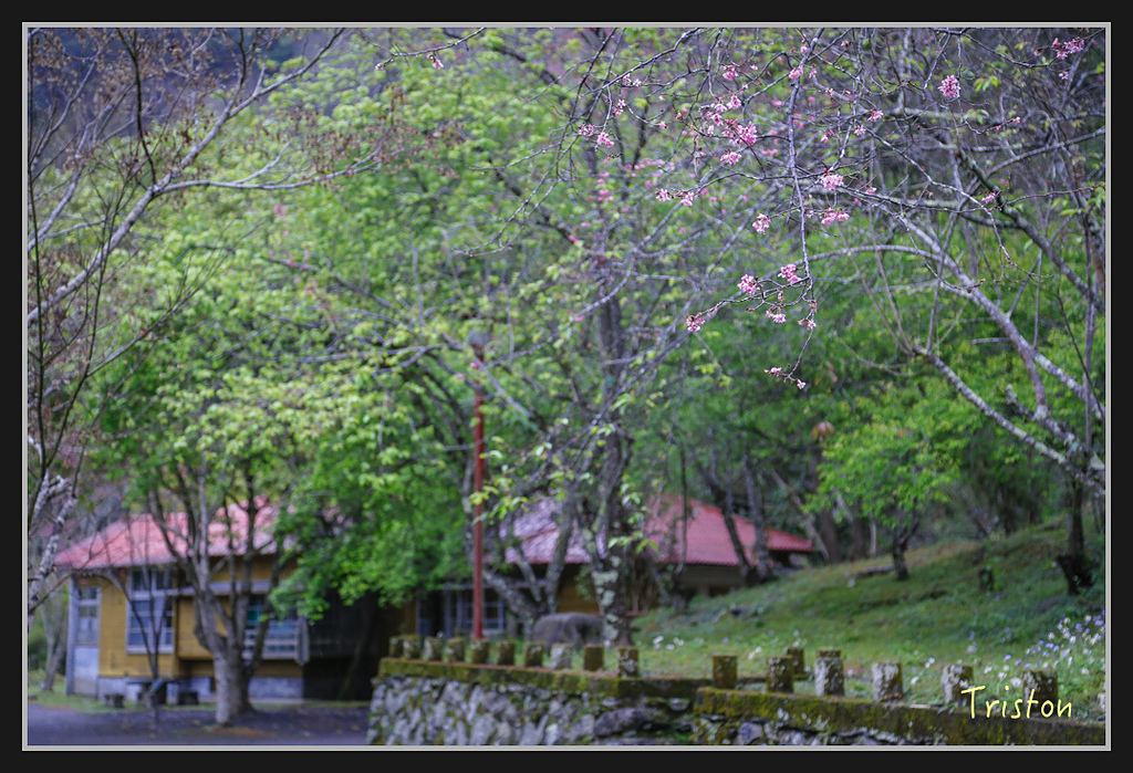 _H1A1968.jpg - 20170212 武界 萬大電廠 奧萬大