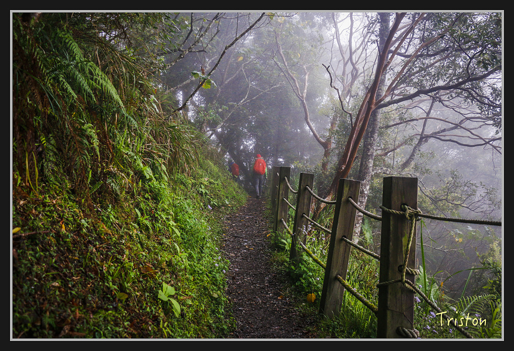 2017-02-27 10.03.53 下午 _MG_0226.jpg - 20170225 玉里瓦拉米
