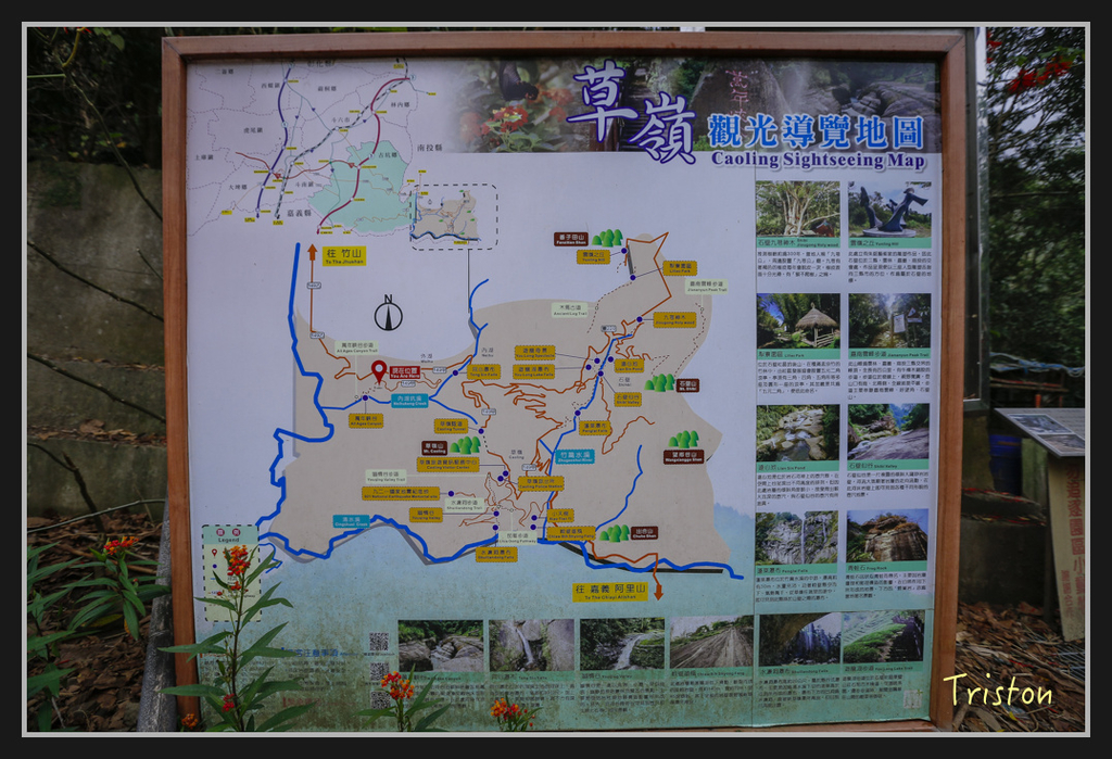 _H1A2442.jpg - 20170311 草嶺