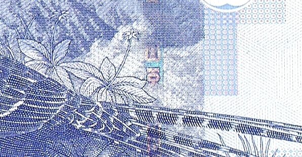 1514aa49d27ff5.jpg - 20170429 關仔嶺雞籠山