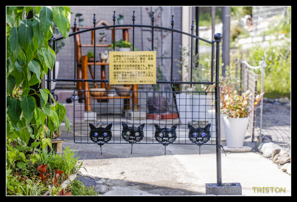 _MG_0109.jpg - 20170702 靜岡東海道之旅