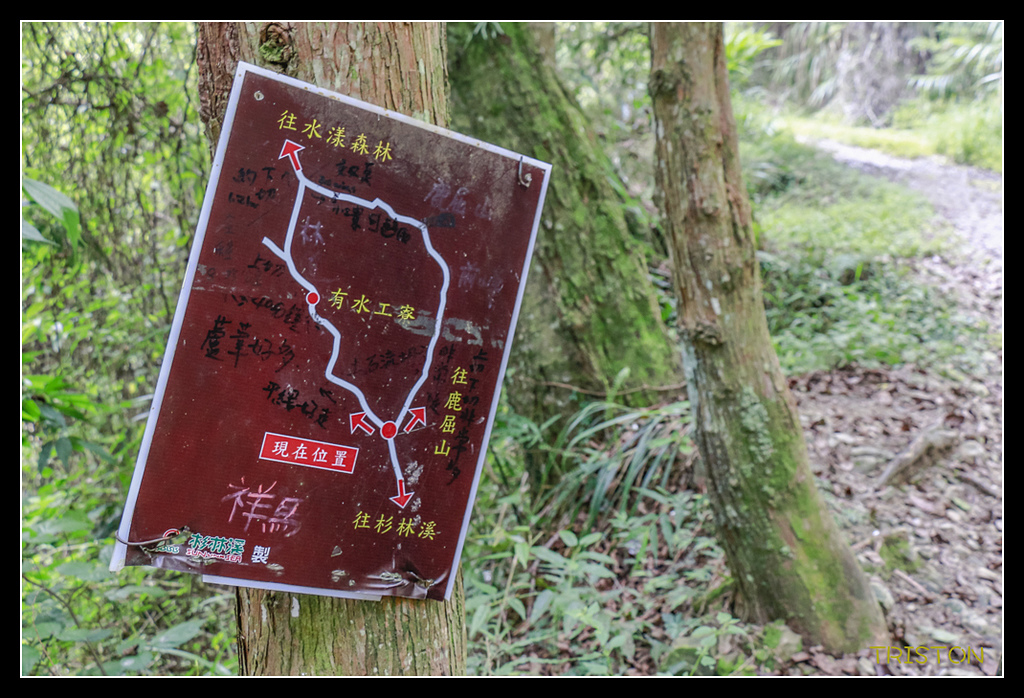 _MG_0020.jpg - 20170723 水漾森林