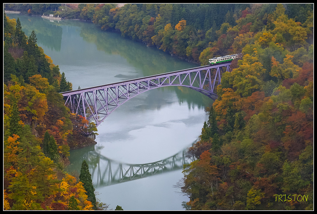 _H1A0447.jpg - 20171103 日本只見線、會津若松五色沼、昭和記念公園賞紅葉