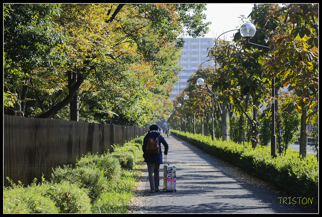 _H1A1535.jpg - 20171103 日本只見線、會津若松五色沼、昭和記念公園賞紅葉