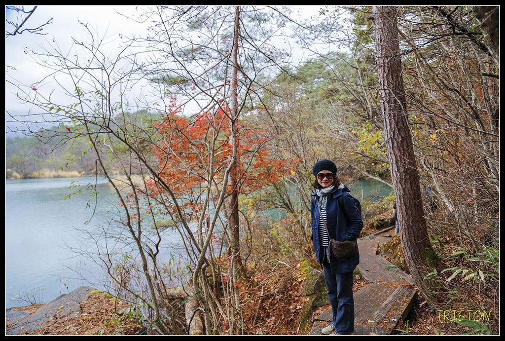 _H1A1156.jpg - 20171103 日本只見線、會津若松五色沼、昭和記念公園賞紅葉