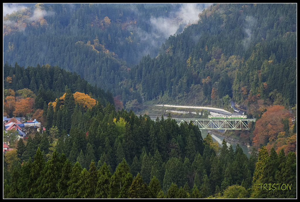 _H1A0499.jpg - 20171103 日本只見線、會津若松五色沼、昭和記念公園賞紅葉