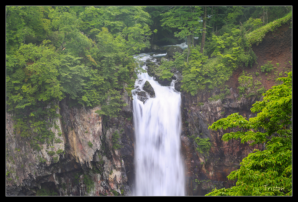JH1A0110.jpg - 20150628 東京輕井澤日光