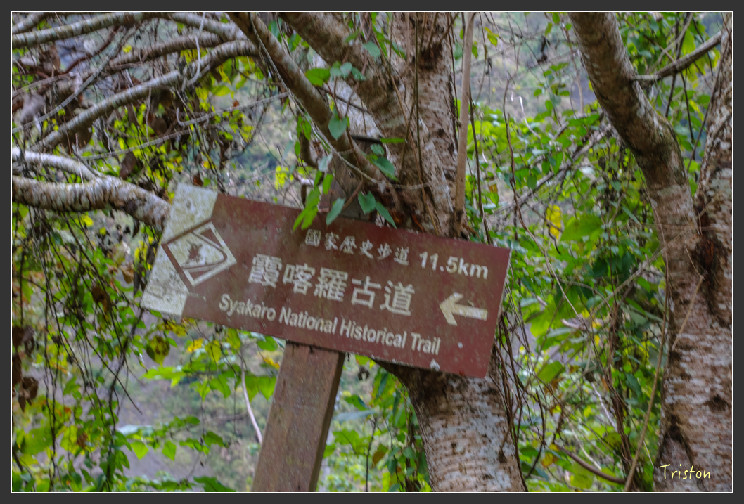 JH1A1316.jpg - 20151221 新竹秀巒賞楓