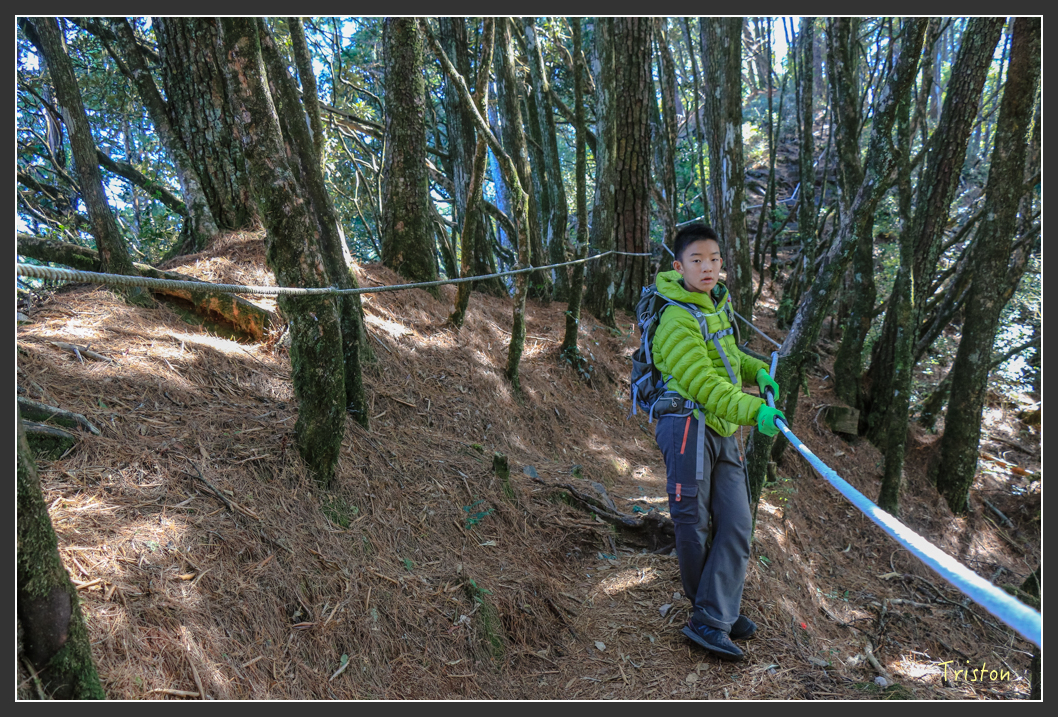 IMG_0593.jpg - 20151219 鳶嘴稍來山、小雪山林道
