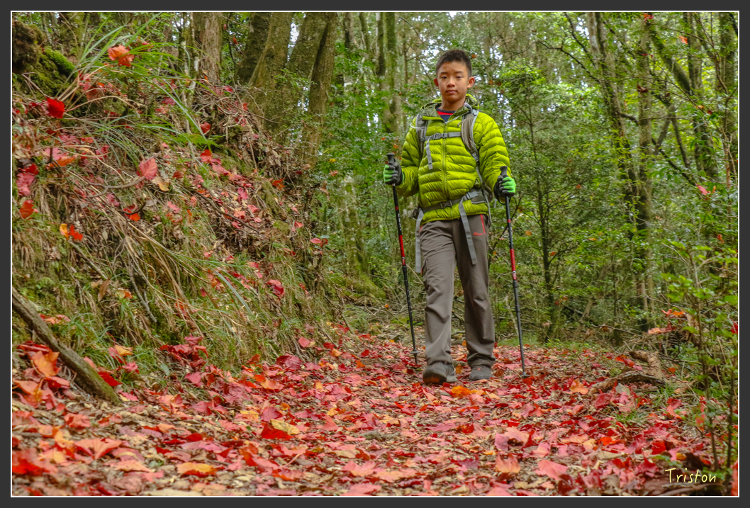 IMG_1148.jpg - 20151219 鳶嘴稍來山、小雪山林道