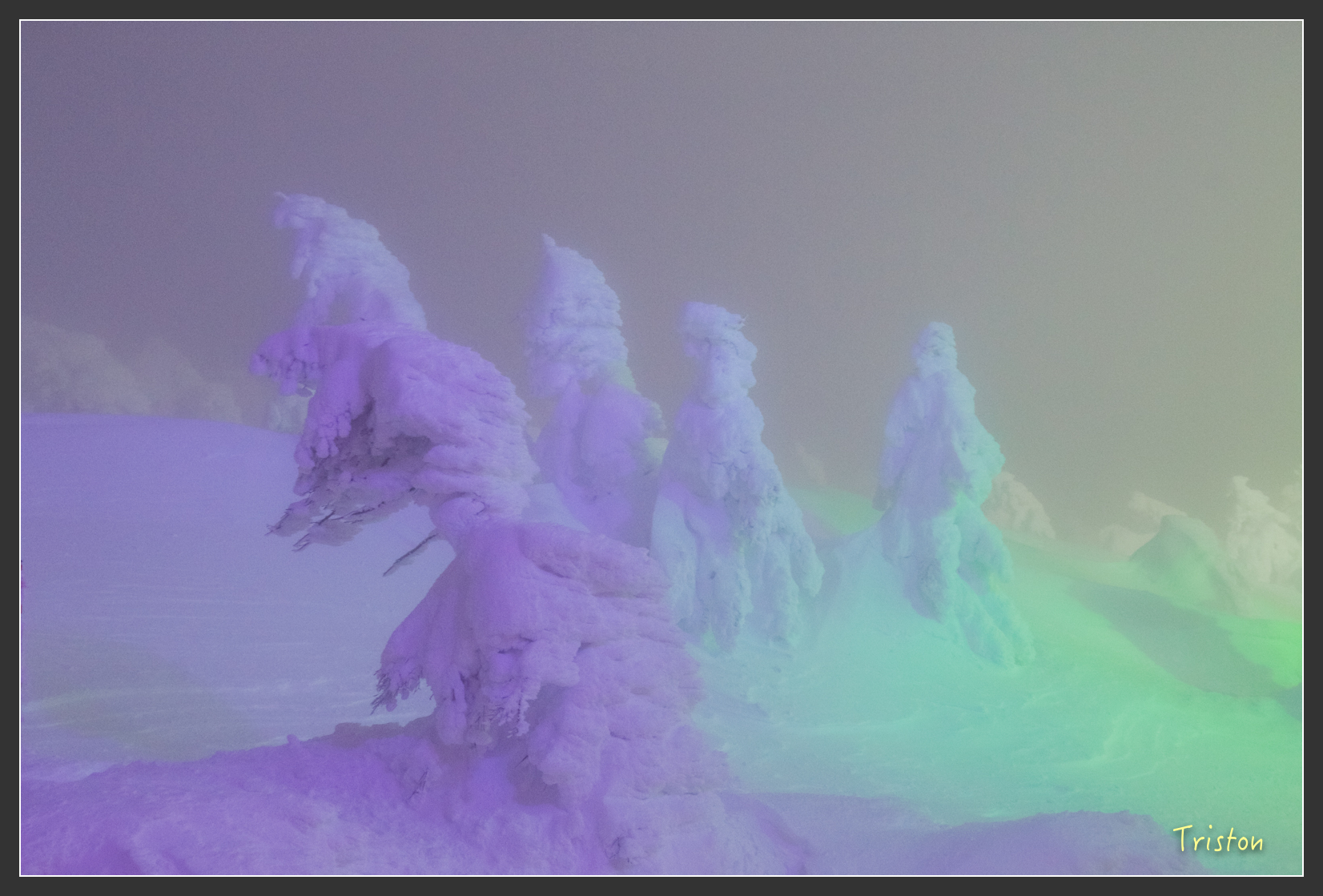 2016ZAO-00938.jpg - 20160131 日本藏王溫泉滑雪親子行