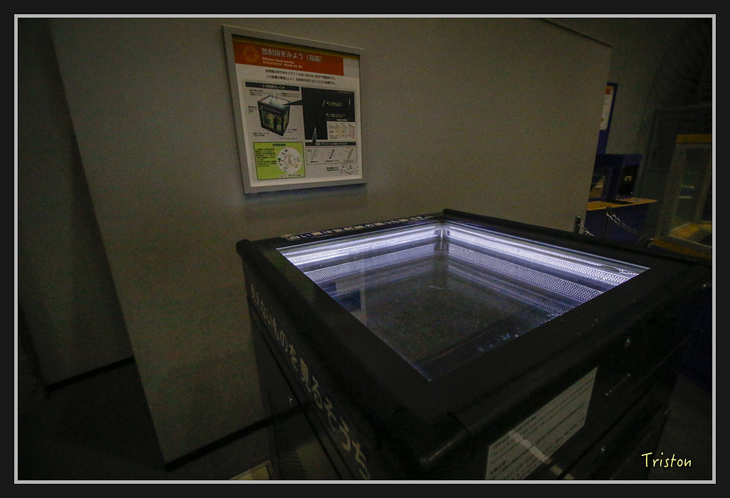 Canon-566.jpg - 20170120 大阪神戶親子遊 