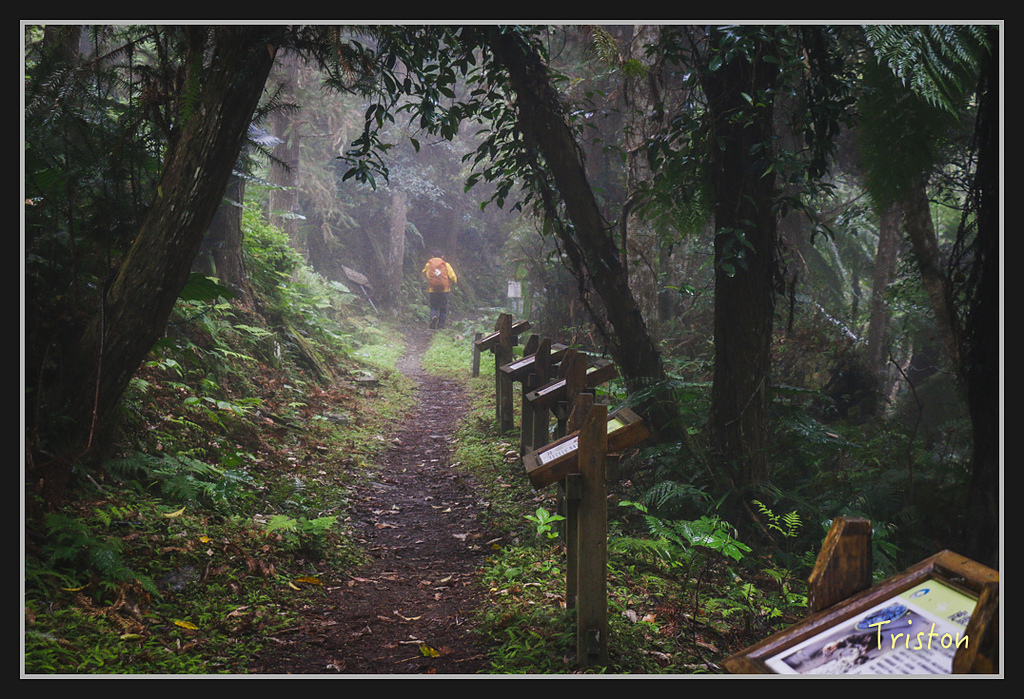 2017-02-27 10.03.53 下午 _MG_0235.jpg - 20170225 玉里瓦拉米