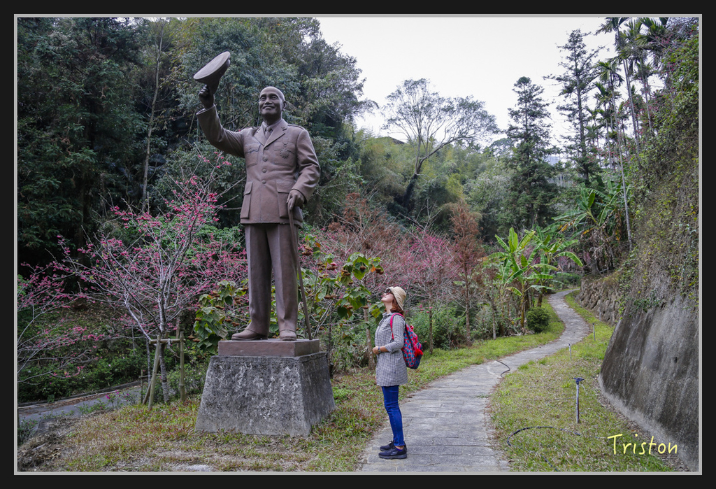 _H1A2527.jpg - 20170311 草嶺