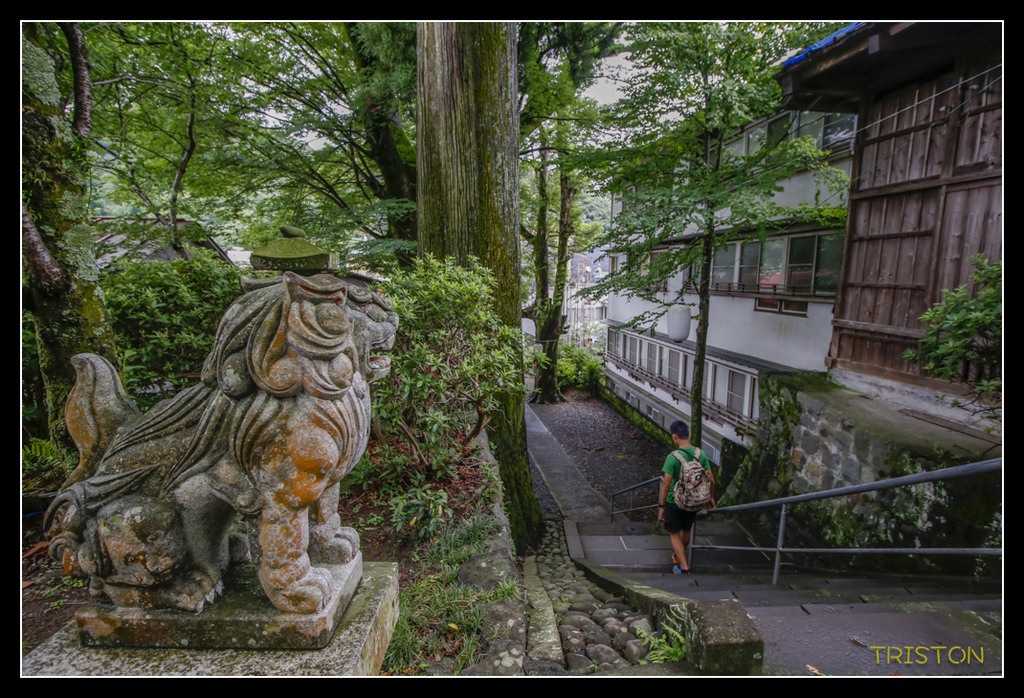 _MG_1117.jpg - 20170702 靜岡東海道之旅