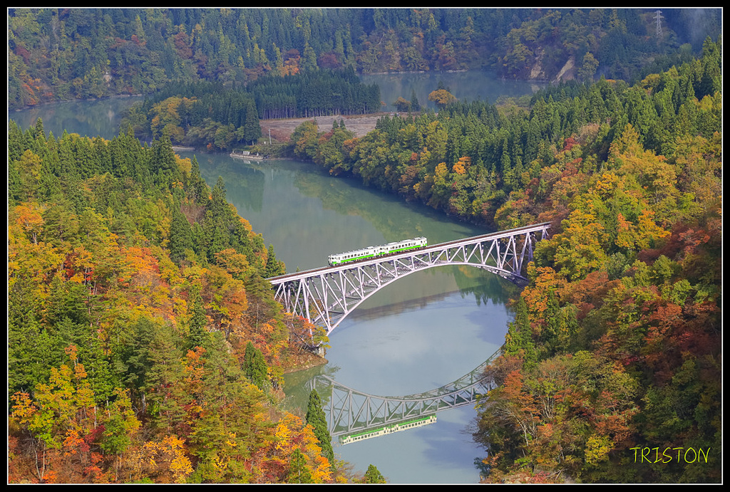 _H1A0559.jpg - 20171103 日本只見線、會津若松五色沼、昭和記念公園賞紅葉