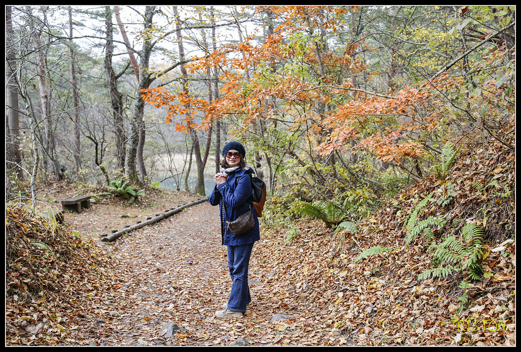 _H1A1196.jpg - 20171103 日本只見線、會津若松五色沼、昭和記念公園賞紅葉