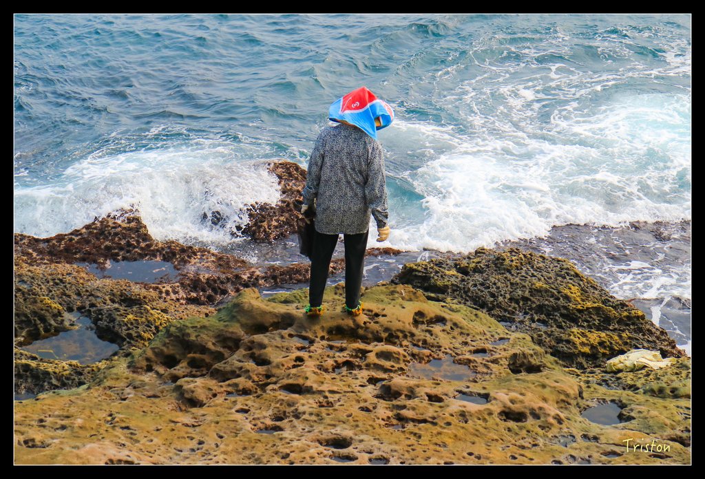 IMG_0391.jpg - 20151107 富士坪古道