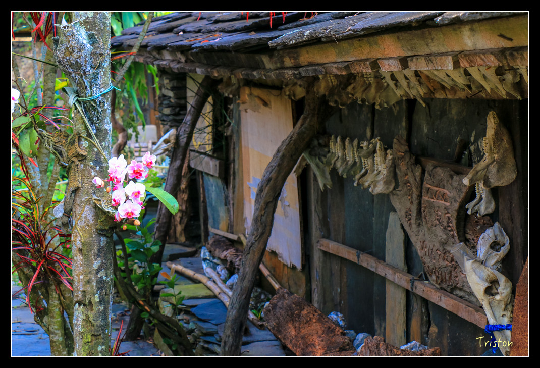 IMG_9553.jpg - 20151202 老七佳部落