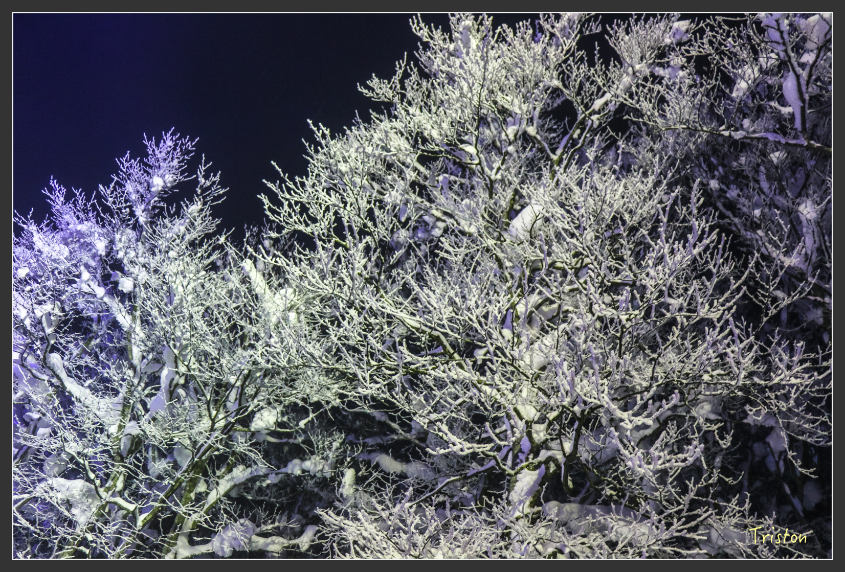 2016ZAO-00996.jpg - 20160131 日本藏王溫泉滑雪親子行