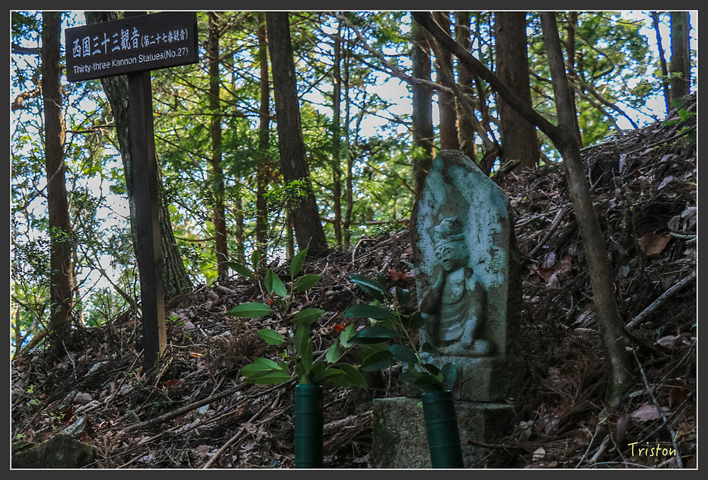 IMG_4673.jpg - 20160323 日本熊野古道健行