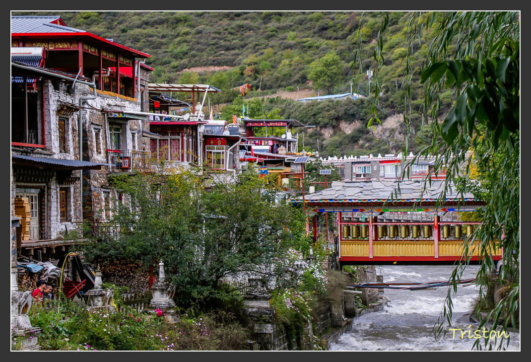 _MG_0376.jpg - 20161013 稻城亞丁