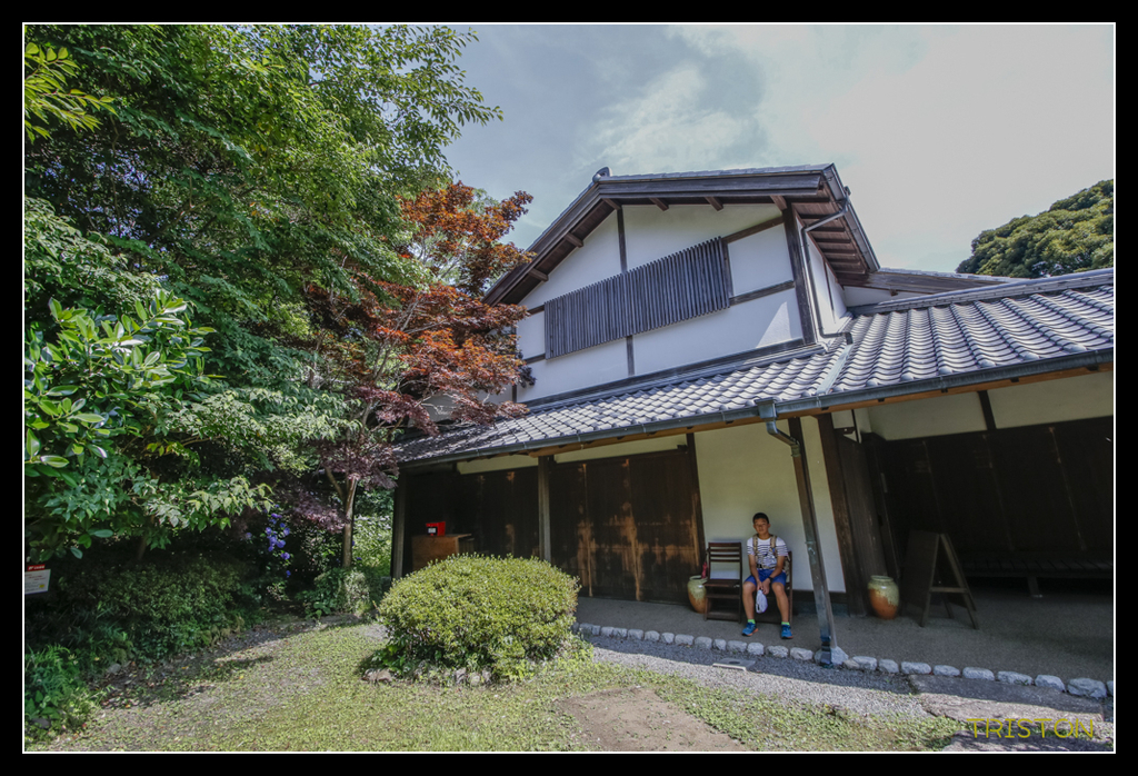 _MG_0134.jpg - 20170702 靜岡東海道之旅