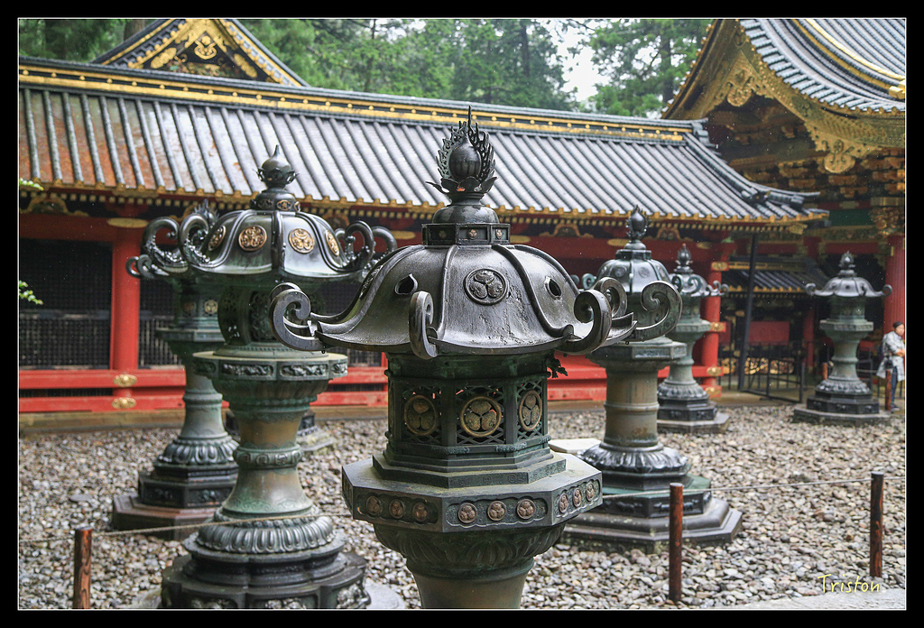 JH1A0029.jpg - 20150628 東京輕井澤日光