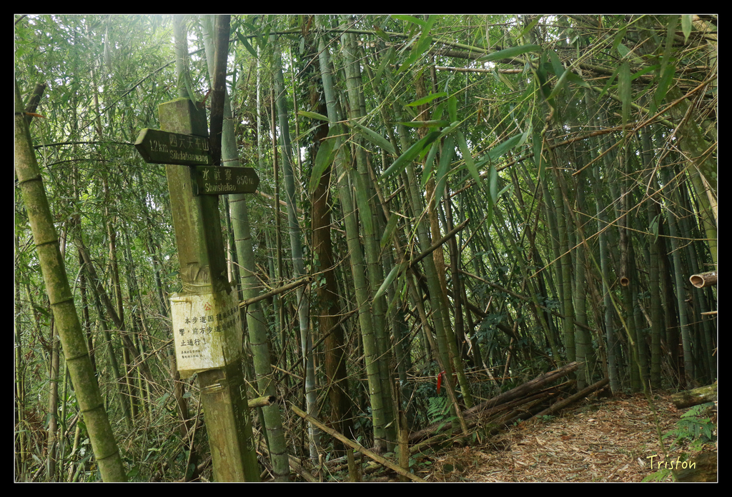 IMG_8487.jpg - 20151012 水社寮,四天王山