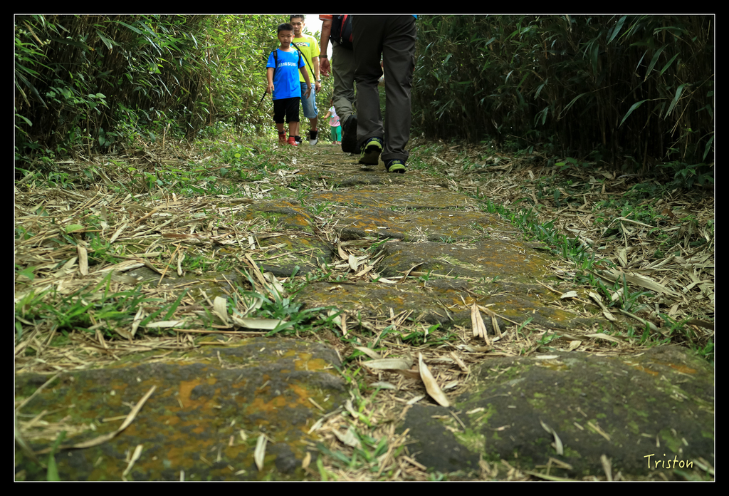 IMG_0412.jpg - 20151107 富士坪古道