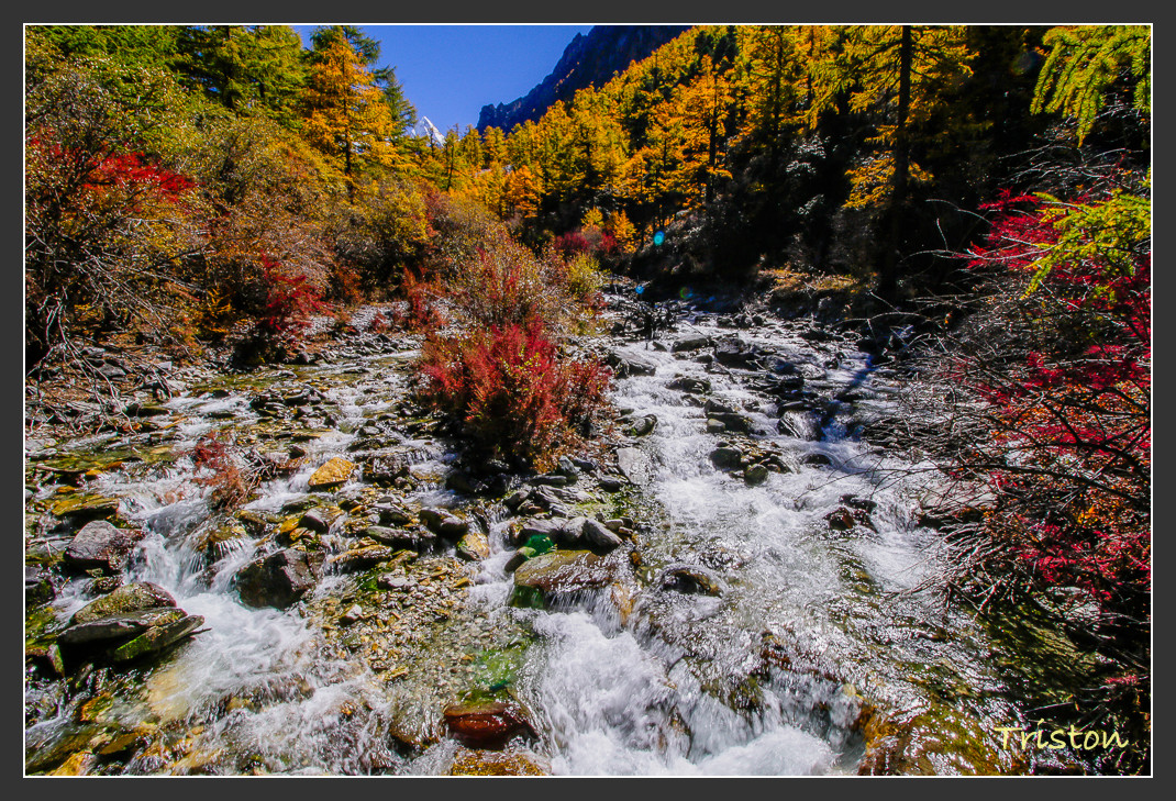 _MG_2288.jpg - 20161013 稻城亞丁