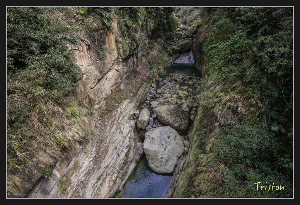 _H1A2475.jpg - 20170311 草嶺