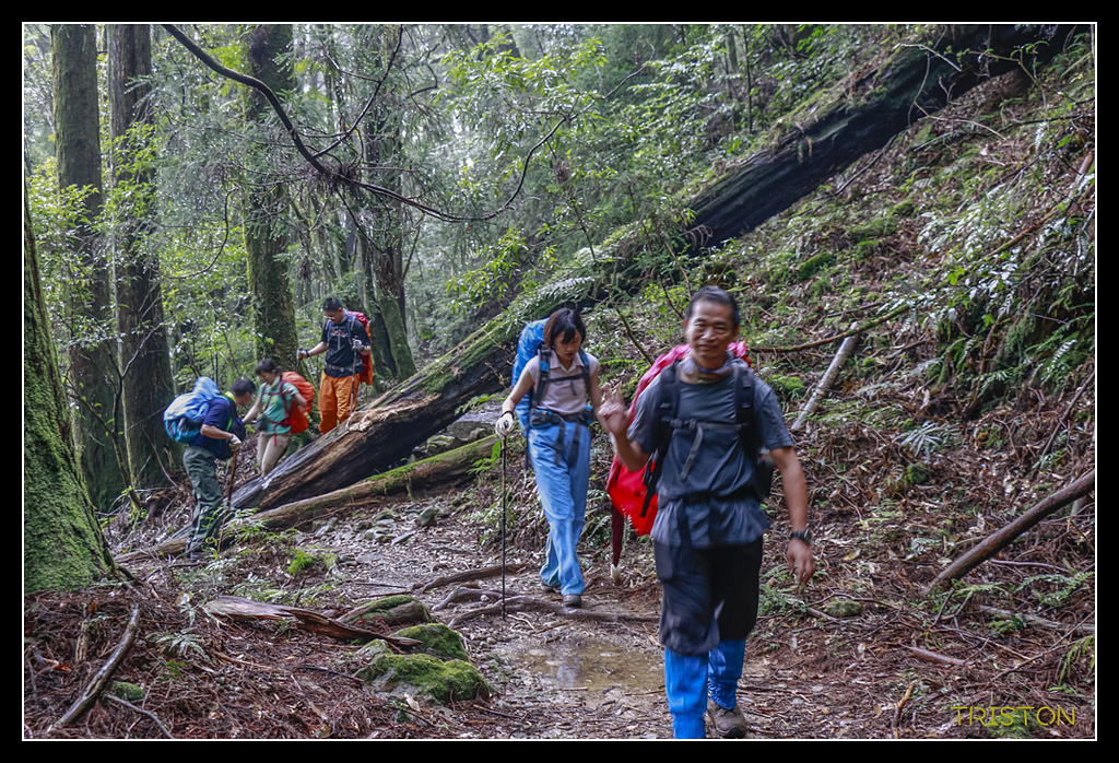 _MG_0121.jpg - 20170723 水漾森林