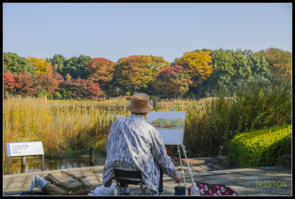 _H1A1643.jpg - 20171103 日本只見線、會津若松五色沼、昭和記念公園賞紅葉