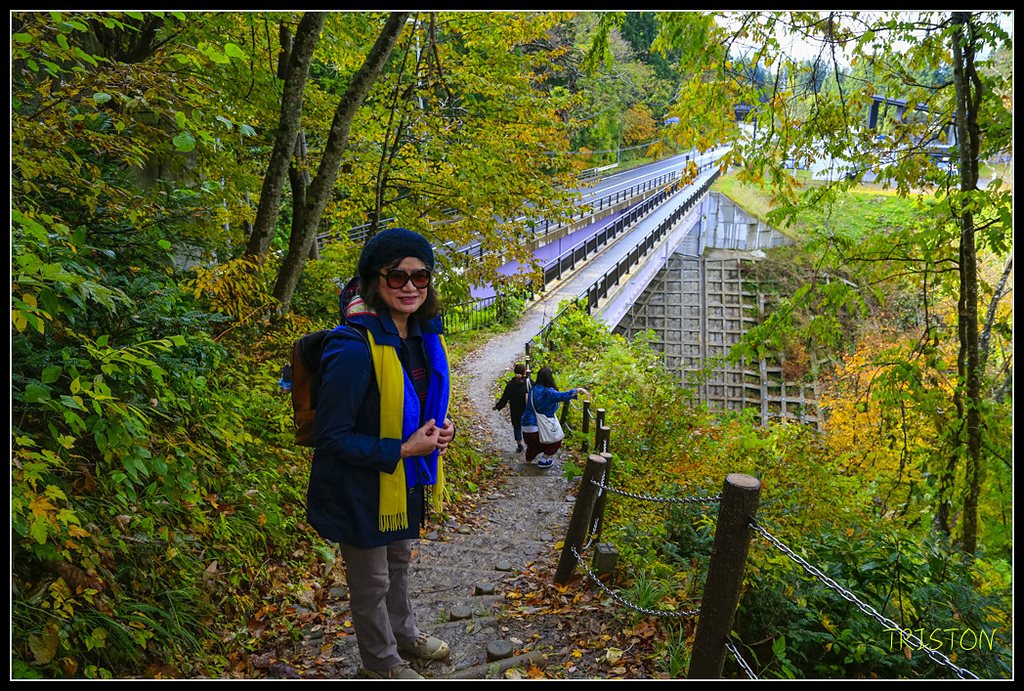 _H1A0599.jpg - 20171103 日本只見線、會津若松五色沼、昭和記念公園賞紅葉