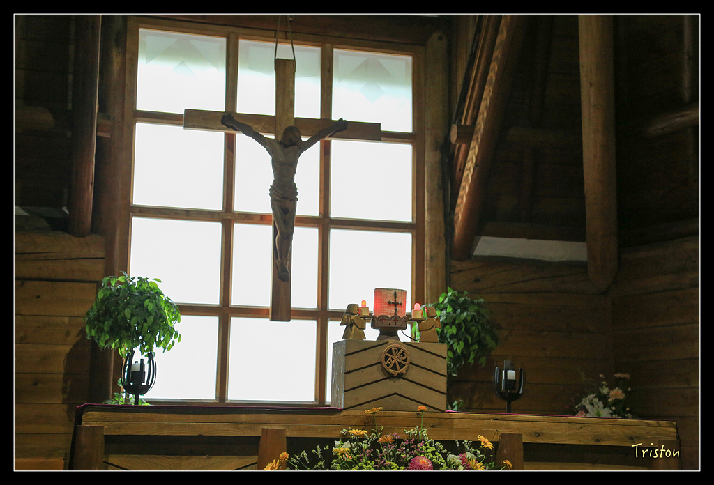 JH1A9394.jpg - 20150628 東京輕井澤日光