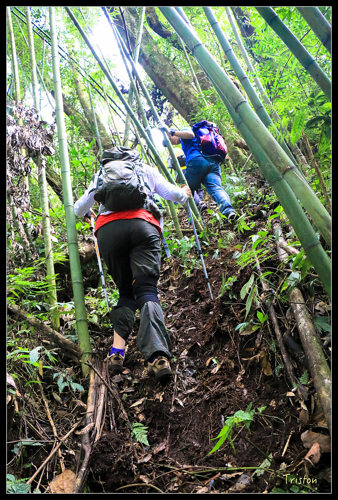 IMG_8310.jpg - 20150926 大凍山切霹靂山 抵龍雲山莊