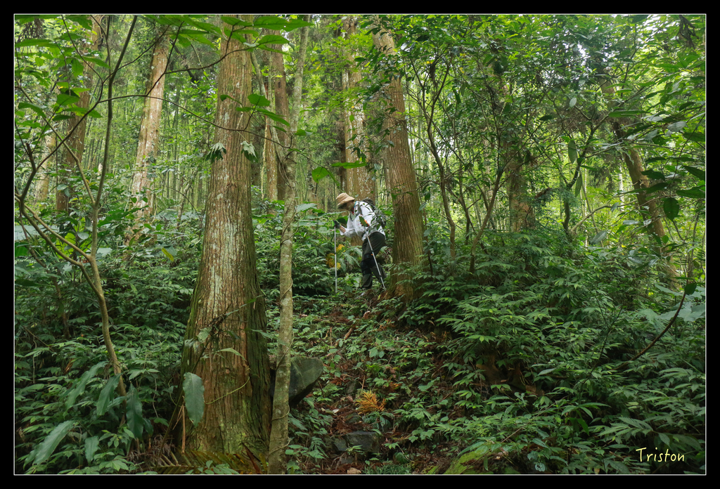 IMG_8490.jpg - 20151012 水社寮,四天王山