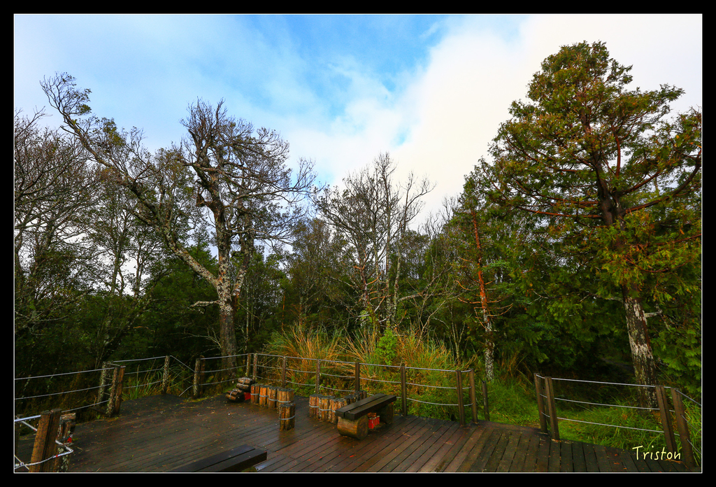 JH1A0088.jpg - 20151024~25 幾米公園、翠峰湖、翠峰山屋、望洋山步道、山毛櫸步道